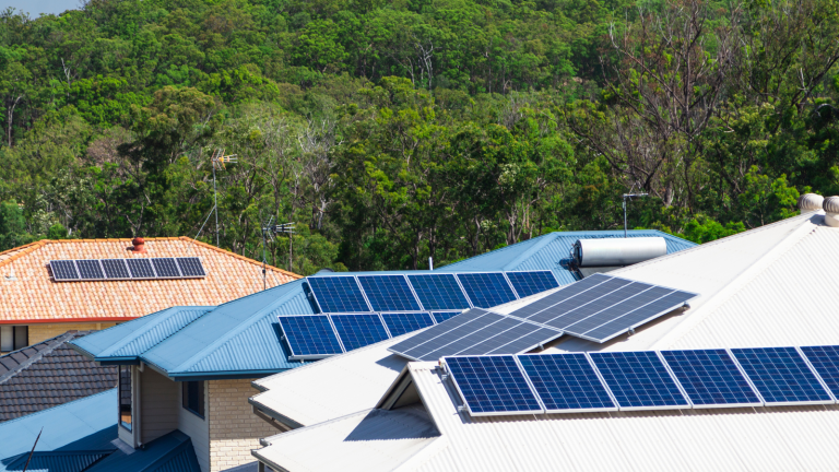 Green Roofing