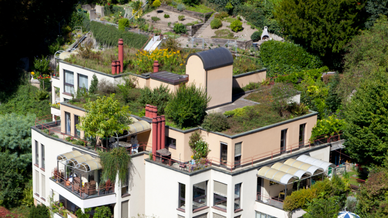 The Green Roofing